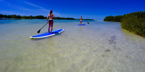 Marco Island Paddleboard Rentals